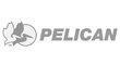 Pelican